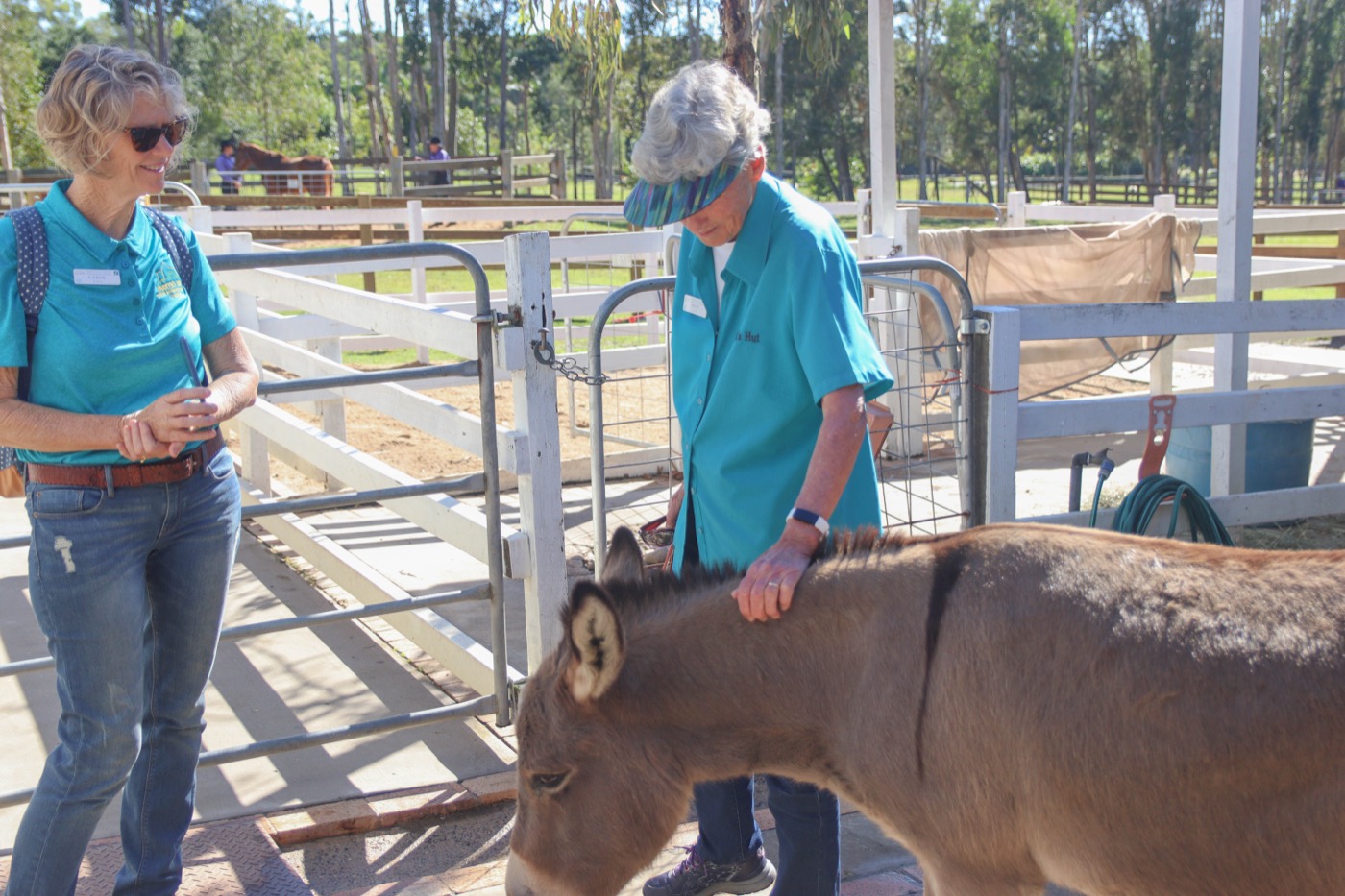 Group Tours 'Our Backyard'