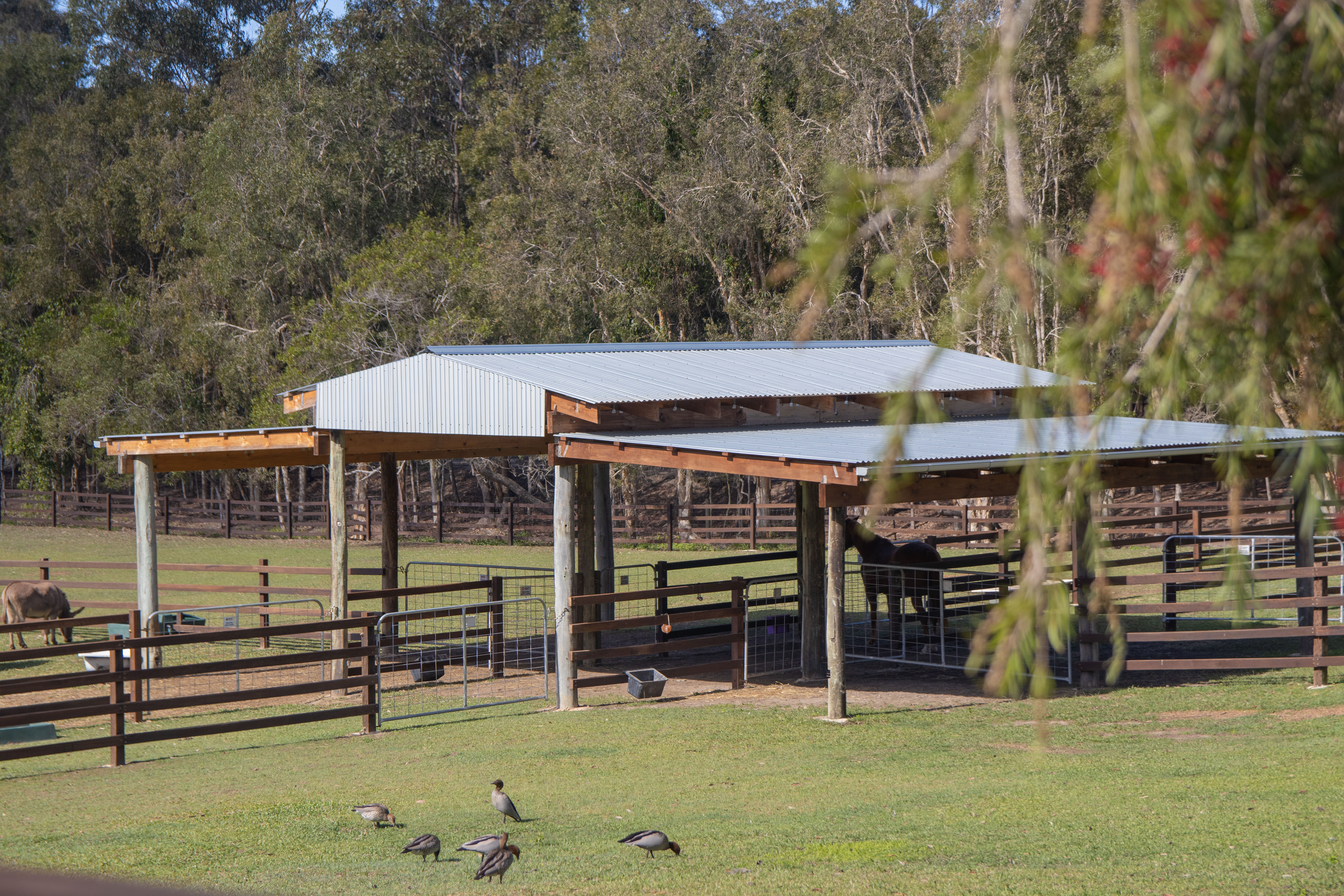 Barn and Paddocks