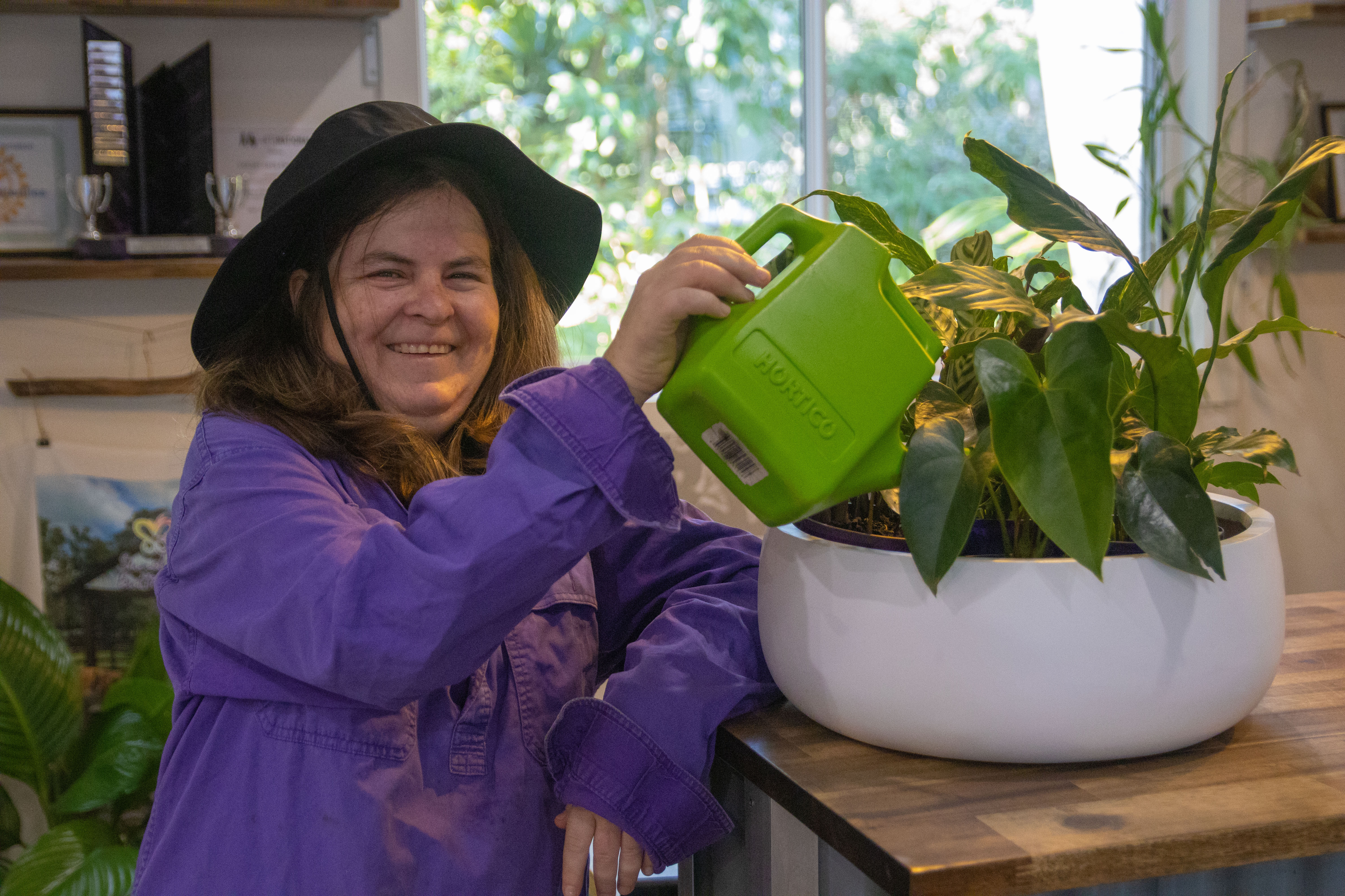 Indoor Plant Hire